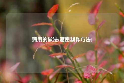 蒲扇的做法(蒲扇制作方法)