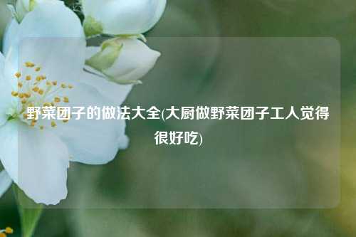 野菜团子的做法大全(大厨做野菜团子工人觉得很好吃)