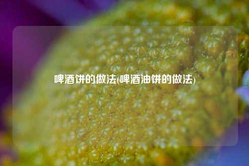 啤酒饼的做法(啤酒油饼的做法)