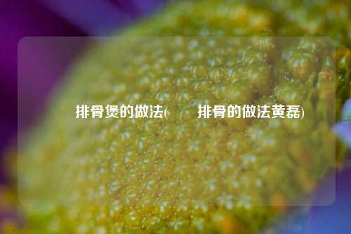 啫啫排骨煲的做法(啫啫排骨的做法黄磊)