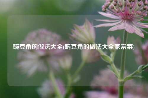 豌豆角的做法大全(豌豆角的做法大全家常菜)