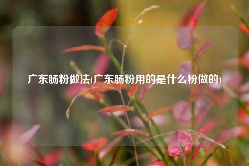 广东肠粉做法(广东肠粉用的是什么粉做的)