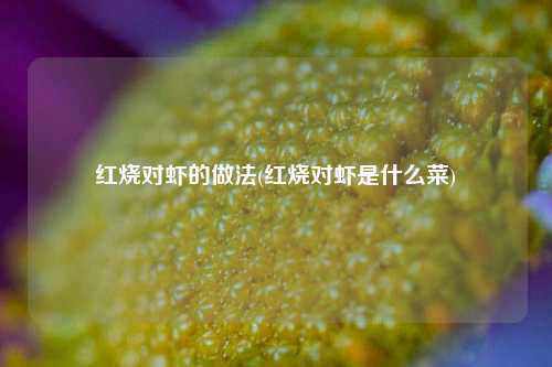 红烧对虾的做法(红烧对虾是什么菜)