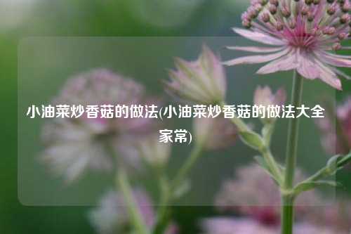 小油菜炒香菇的做法(小油菜炒香菇的做法大全家常)