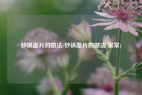 砂锅面片的做法(砂锅面片的做法 家常)
