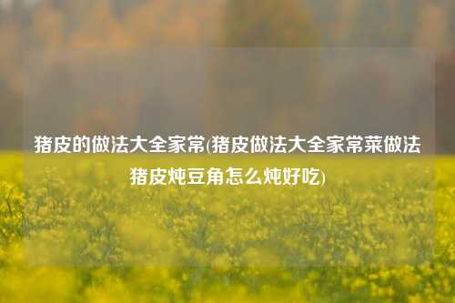 猪皮的做法大全家常(猪皮做法大全家常菜做法猪皮炖豆角怎么炖好吃)