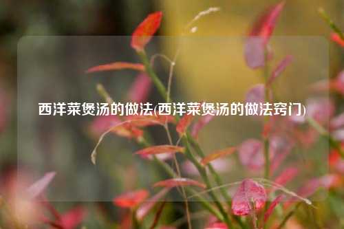 西洋菜煲汤的做法(西洋菜煲汤的做法窍门)