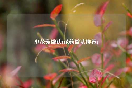 小花菇做法(花菇做法推荐)