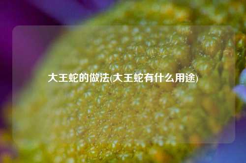 大王蛇的做法(大王蛇有什么用途)