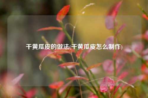 干黄瓜皮的做法(干黄瓜皮怎么制作)