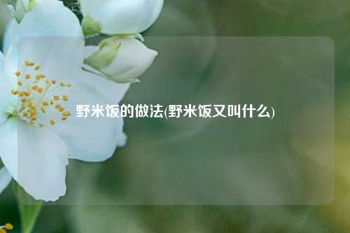 野米饭的做法(野米饭又叫什么)