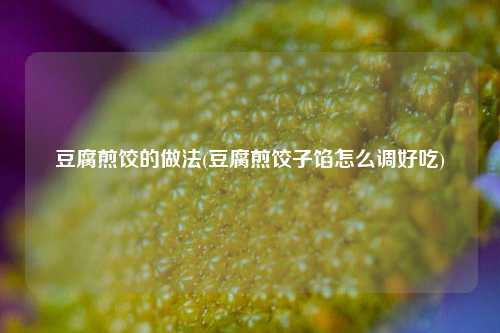 豆腐煎饺的做法(豆腐煎饺子馅怎么调好吃)