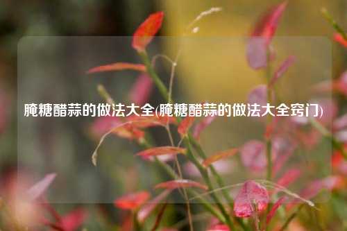 腌糖醋蒜的做法大全(腌糖醋蒜的做法大全窍门)