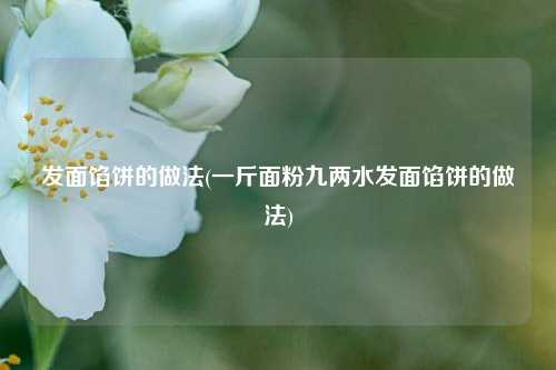发面馅饼的做法(一斤面粉九两水发面馅饼的做法)