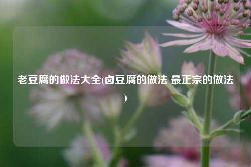 老豆腐的做法大全(卤豆腐的做法 最正宗的做法)
